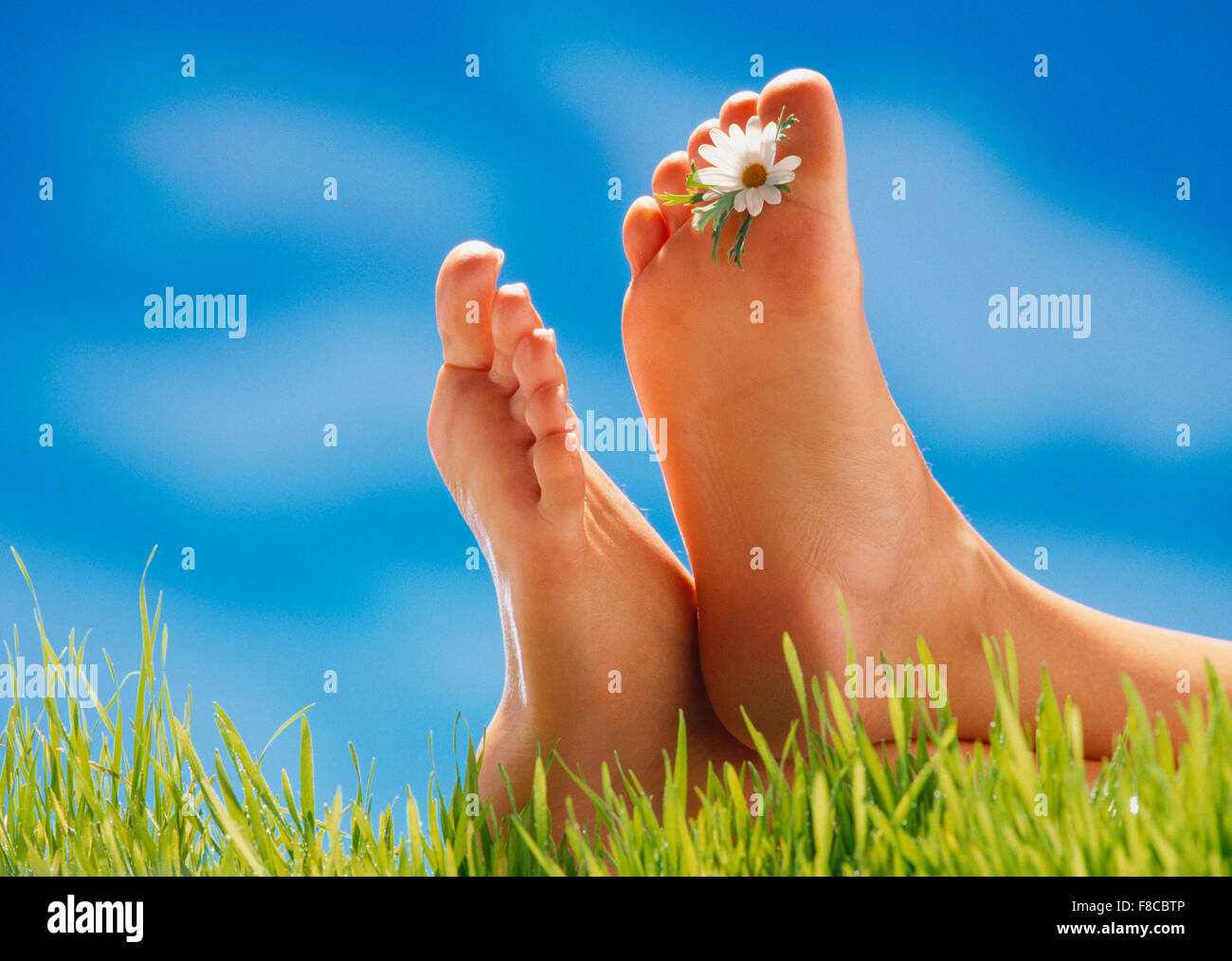 woman`s legs in a green meadow, with a flower between her toes Stock Photo